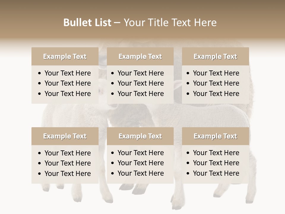 Creature Coat Lamb PowerPoint Template