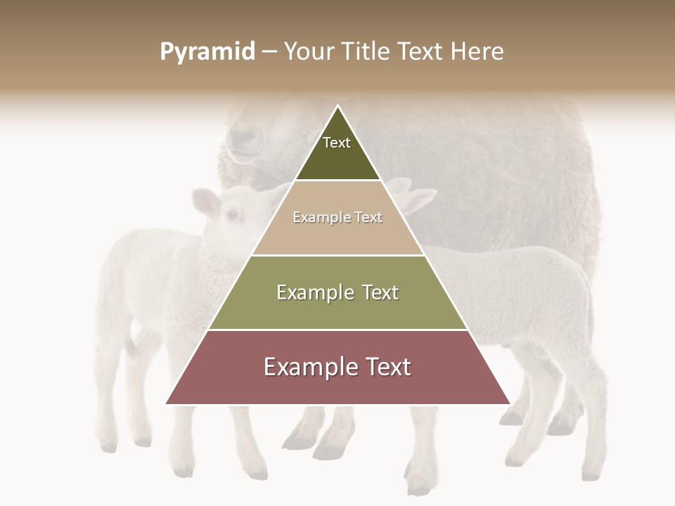 Creature Coat Lamb PowerPoint Template