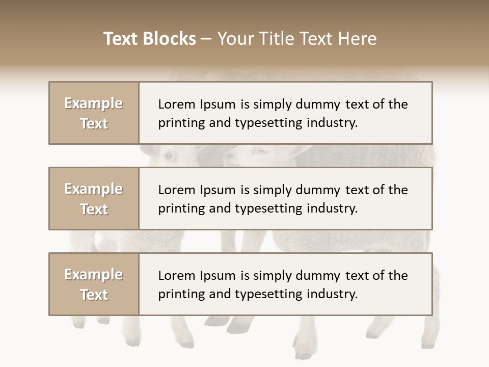 Creature Coat Lamb PowerPoint Template