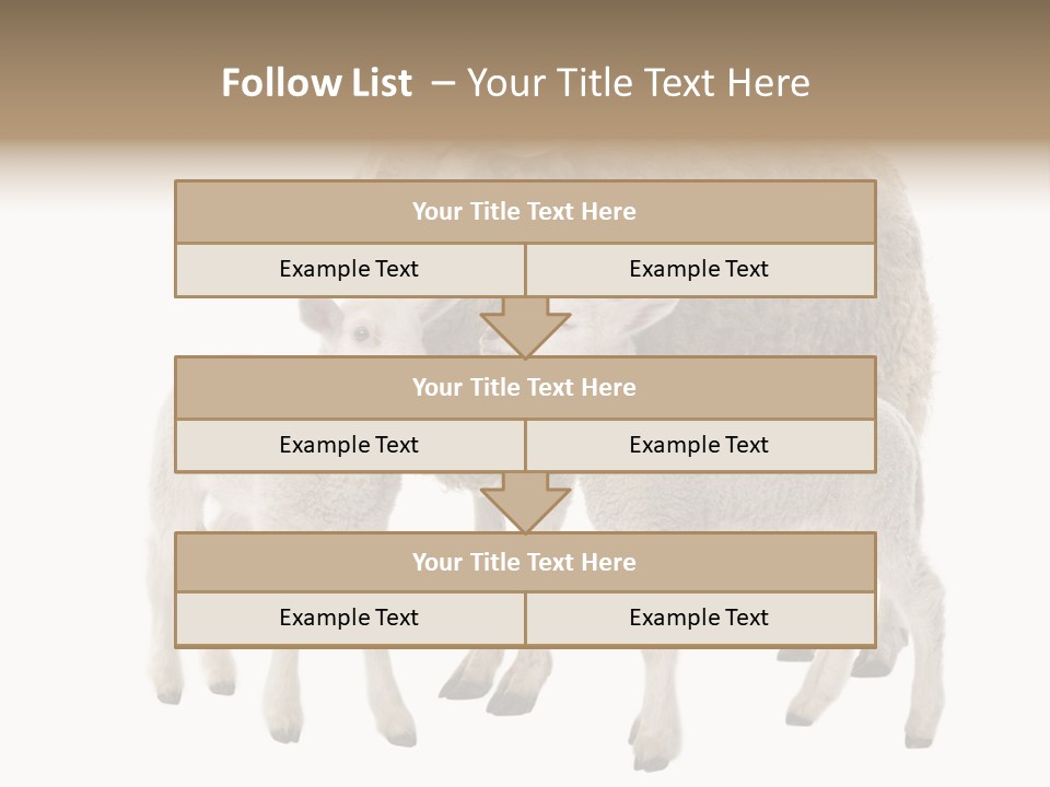 Creature Coat Lamb PowerPoint Template