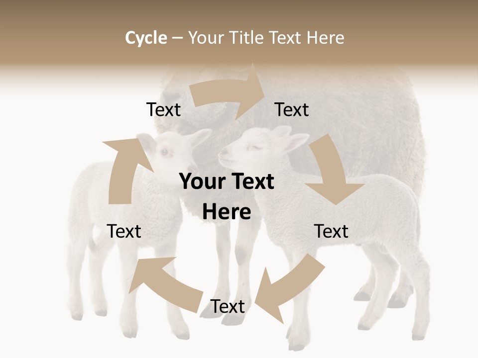 Creature Coat Lamb PowerPoint Template