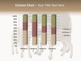 Creature Coat Lamb PowerPoint Template