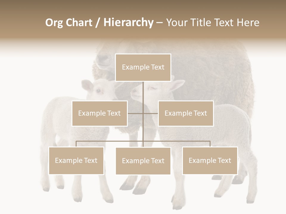 Creature Coat Lamb PowerPoint Template