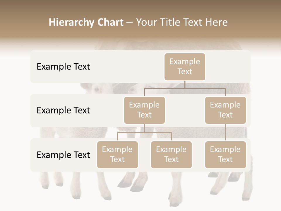 Creature Coat Lamb PowerPoint Template