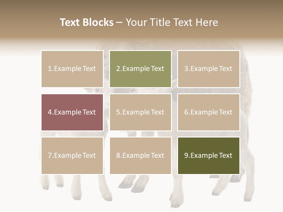 Creature Coat Lamb PowerPoint Template