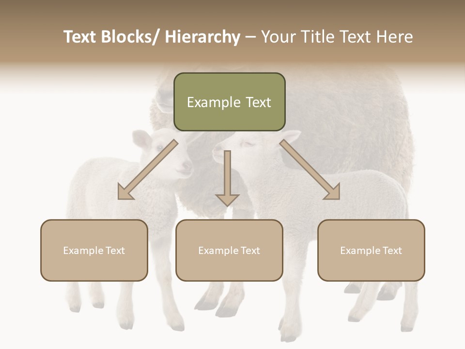 Creature Coat Lamb PowerPoint Template