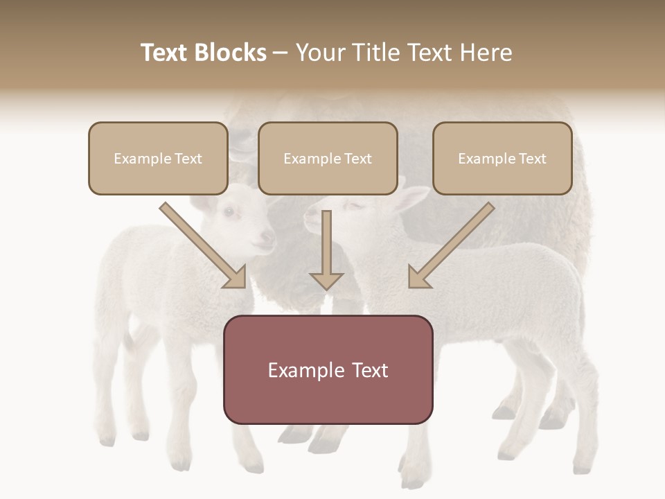 Creature Coat Lamb PowerPoint Template