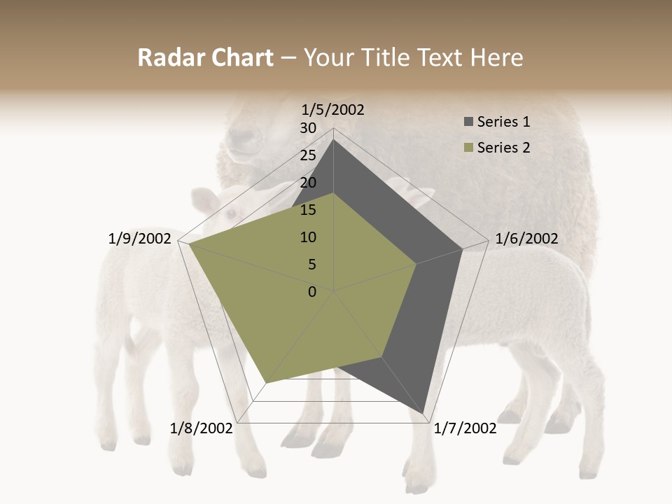 Creature Coat Lamb PowerPoint Template
