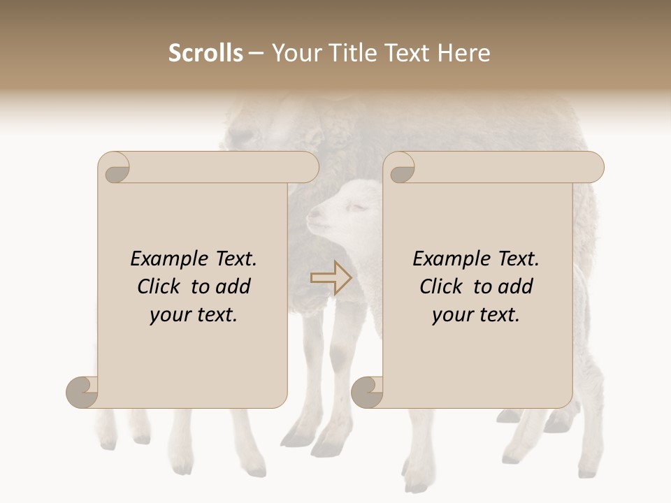 Creature Coat Lamb PowerPoint Template