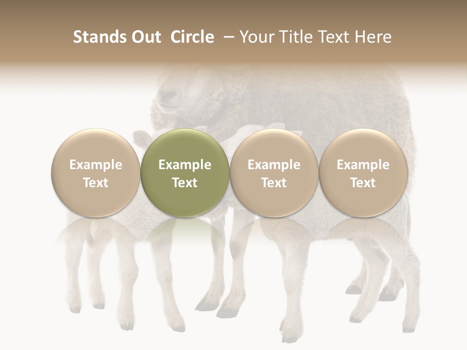 Creature Coat Lamb PowerPoint Template
