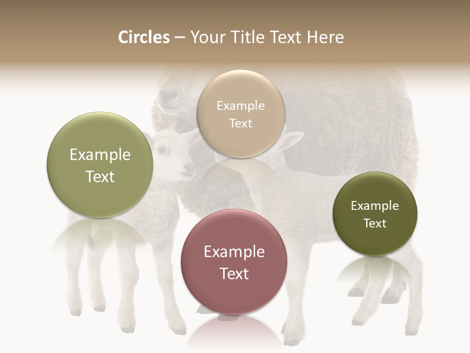 Creature Coat Lamb PowerPoint Template
