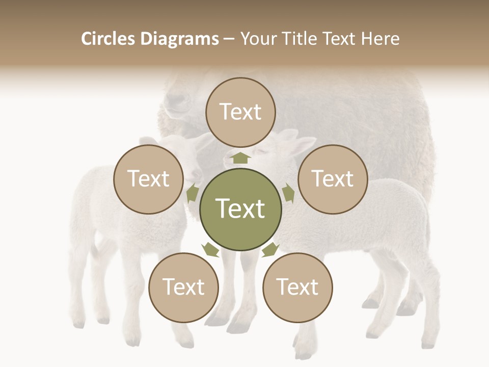 Creature Coat Lamb PowerPoint Template