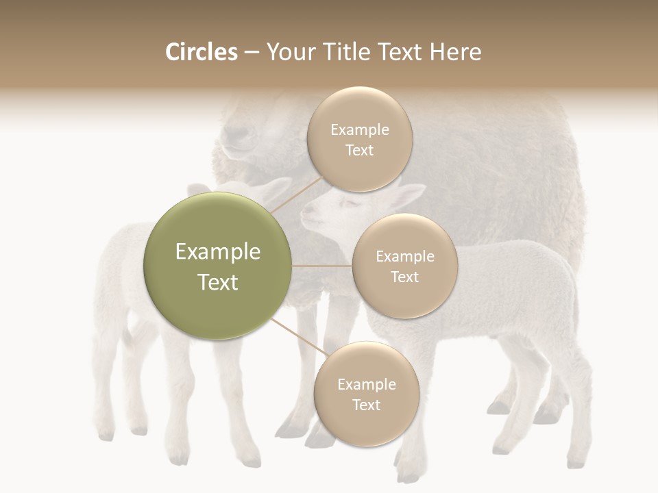 Creature Coat Lamb PowerPoint Template