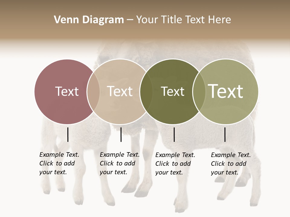 Creature Coat Lamb PowerPoint Template