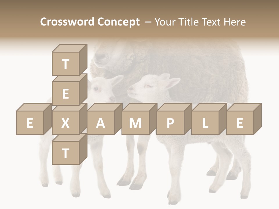 Creature Coat Lamb PowerPoint Template