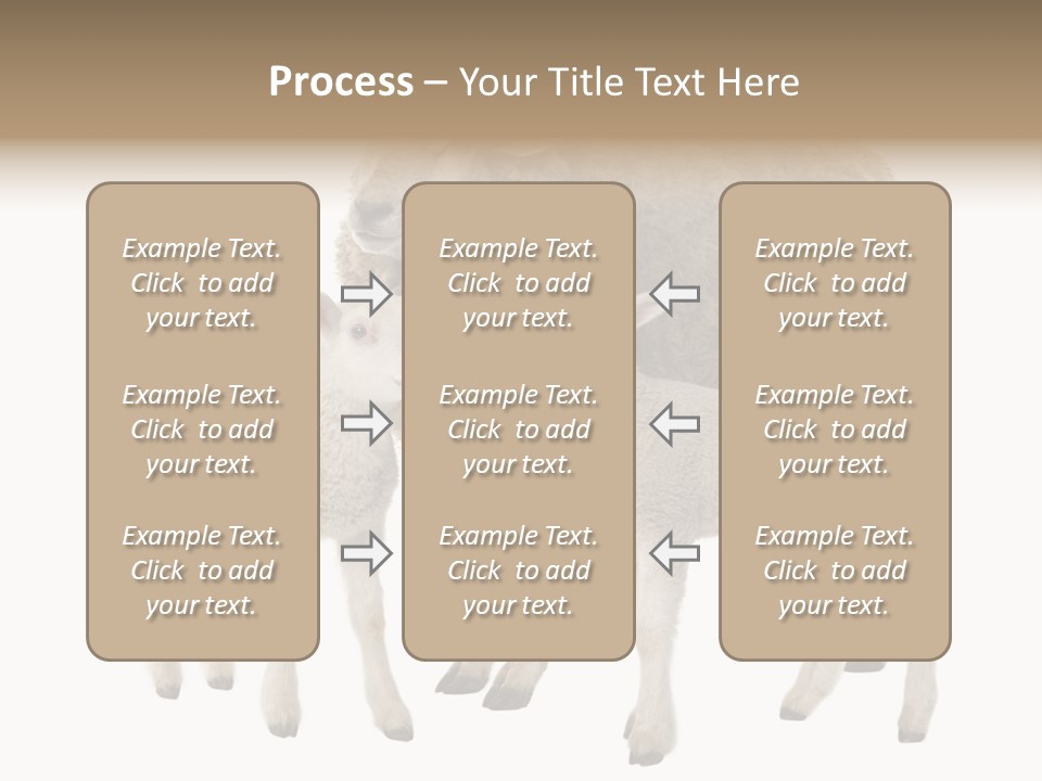 Creature Coat Lamb PowerPoint Template