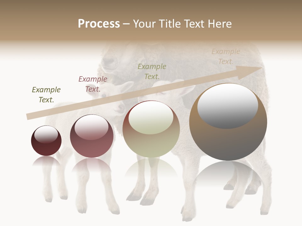 Creature Coat Lamb PowerPoint Template