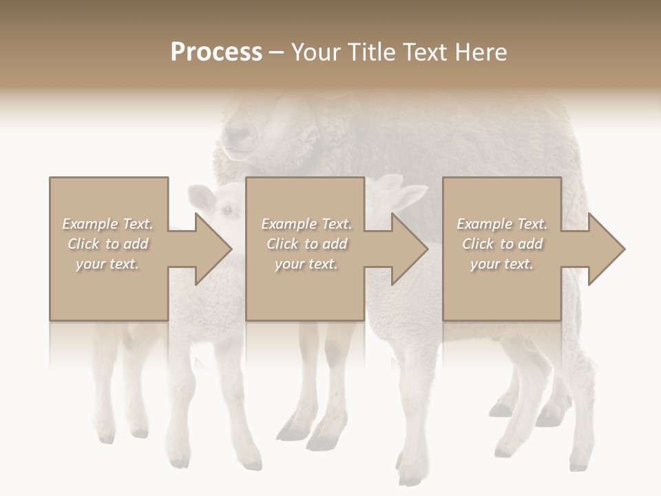 Creature Coat Lamb PowerPoint Template