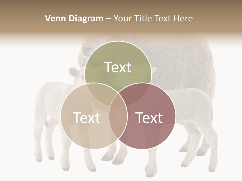 Creature Coat Lamb PowerPoint Template