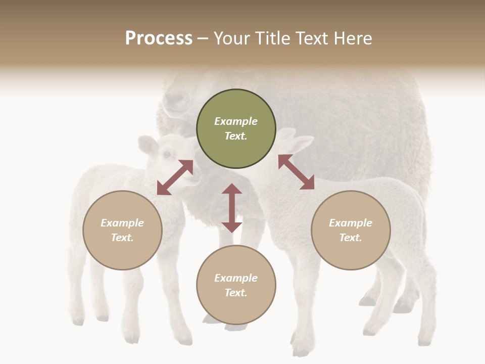 Creature Coat Lamb PowerPoint Template