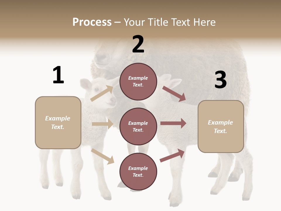 Creature Coat Lamb PowerPoint Template