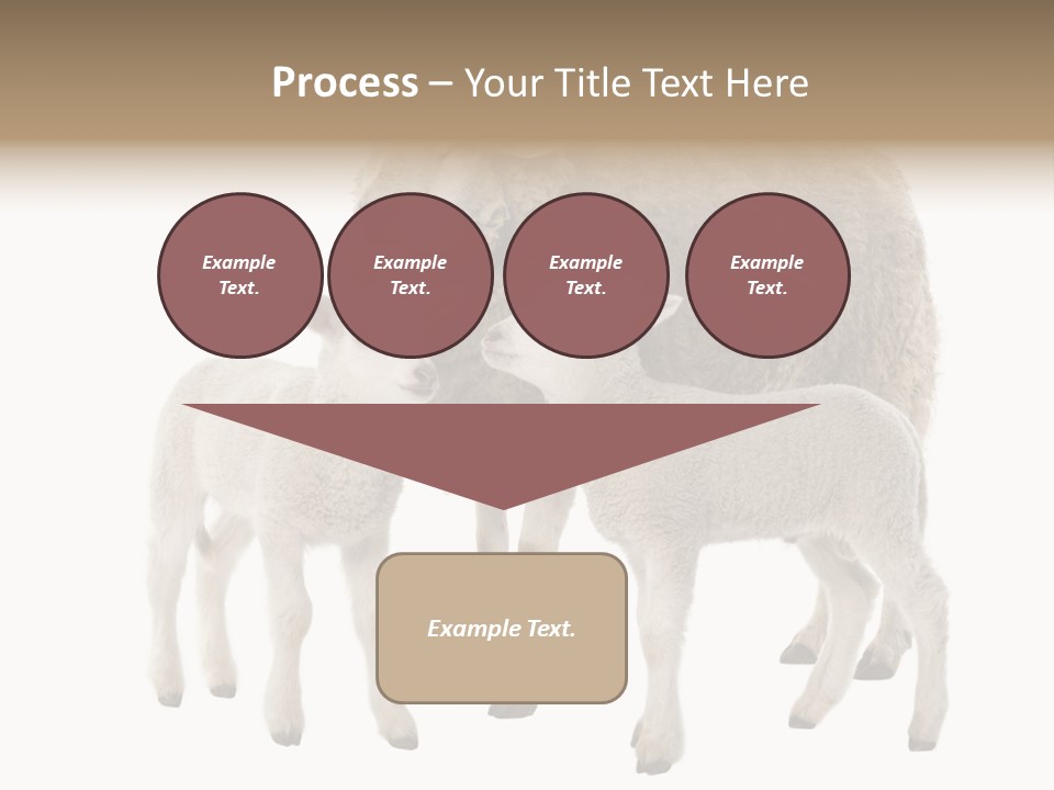Creature Coat Lamb PowerPoint Template