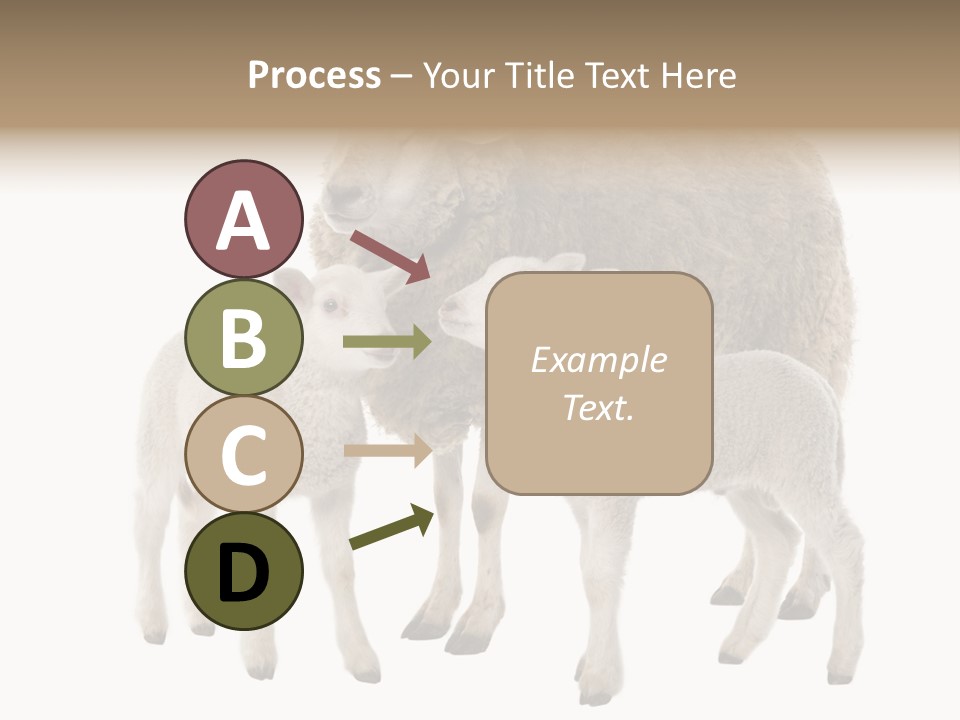 Creature Coat Lamb PowerPoint Template