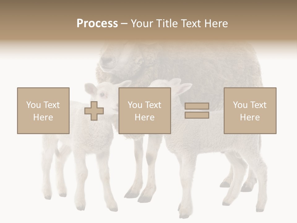 Creature Coat Lamb PowerPoint Template