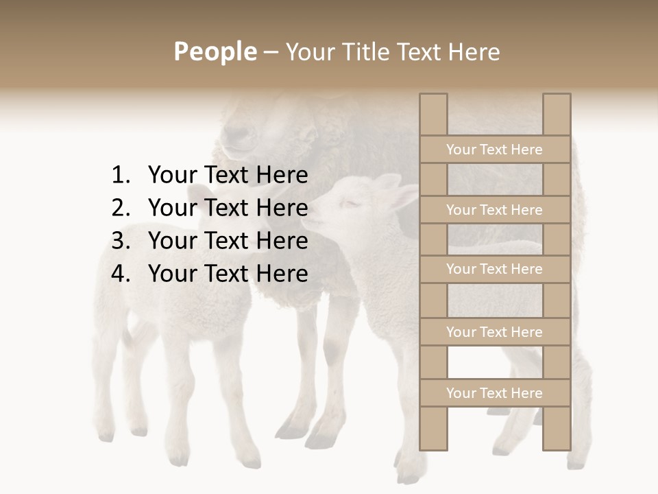 Creature Coat Lamb PowerPoint Template