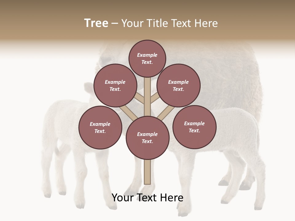 Creature Coat Lamb PowerPoint Template