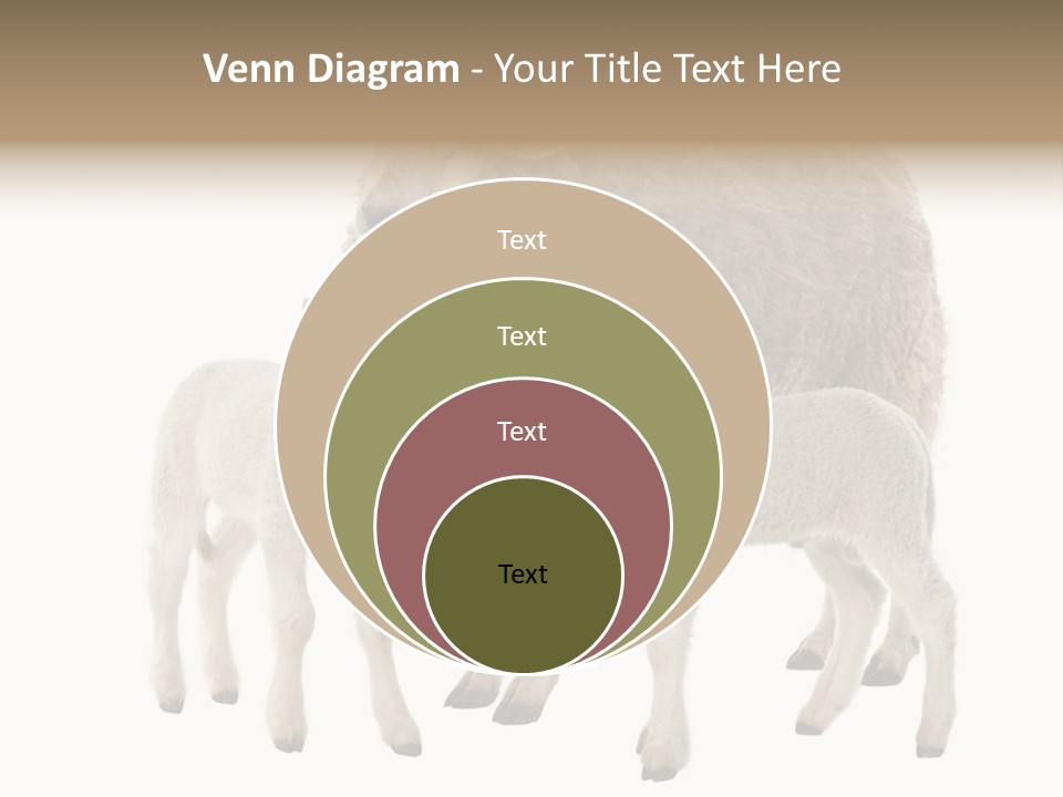 Creature Coat Lamb PowerPoint Template