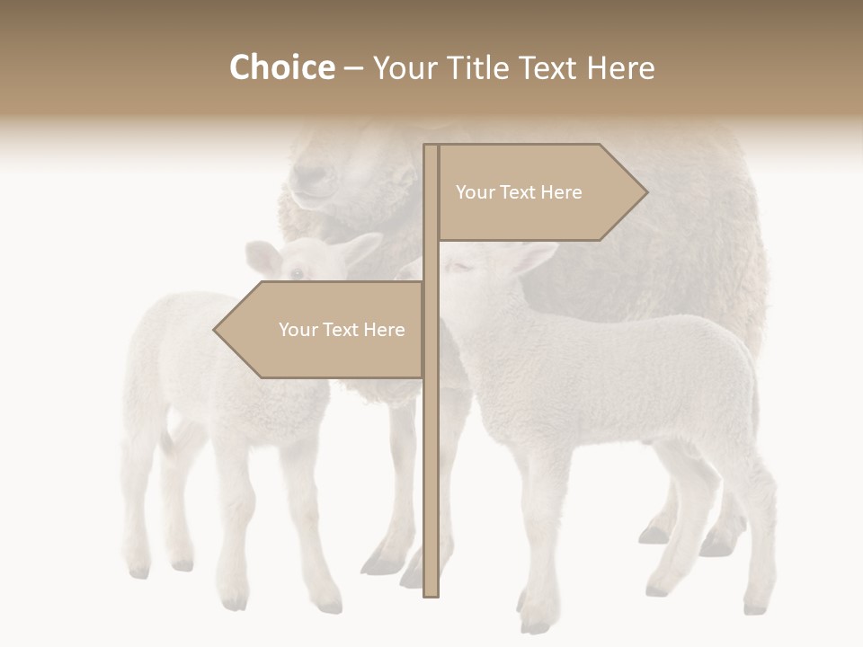 Creature Coat Lamb PowerPoint Template