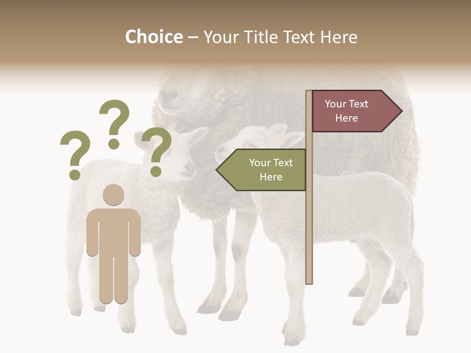 Creature Coat Lamb PowerPoint Template