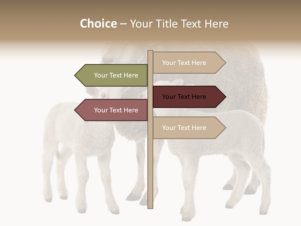 Creature Coat Lamb PowerPoint Template