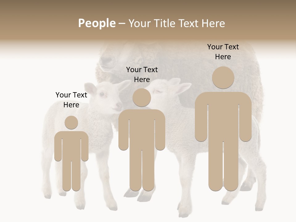 Creature Coat Lamb PowerPoint Template