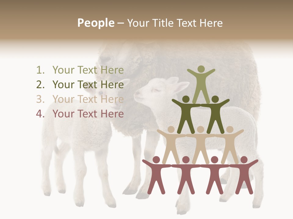 Creature Coat Lamb PowerPoint Template