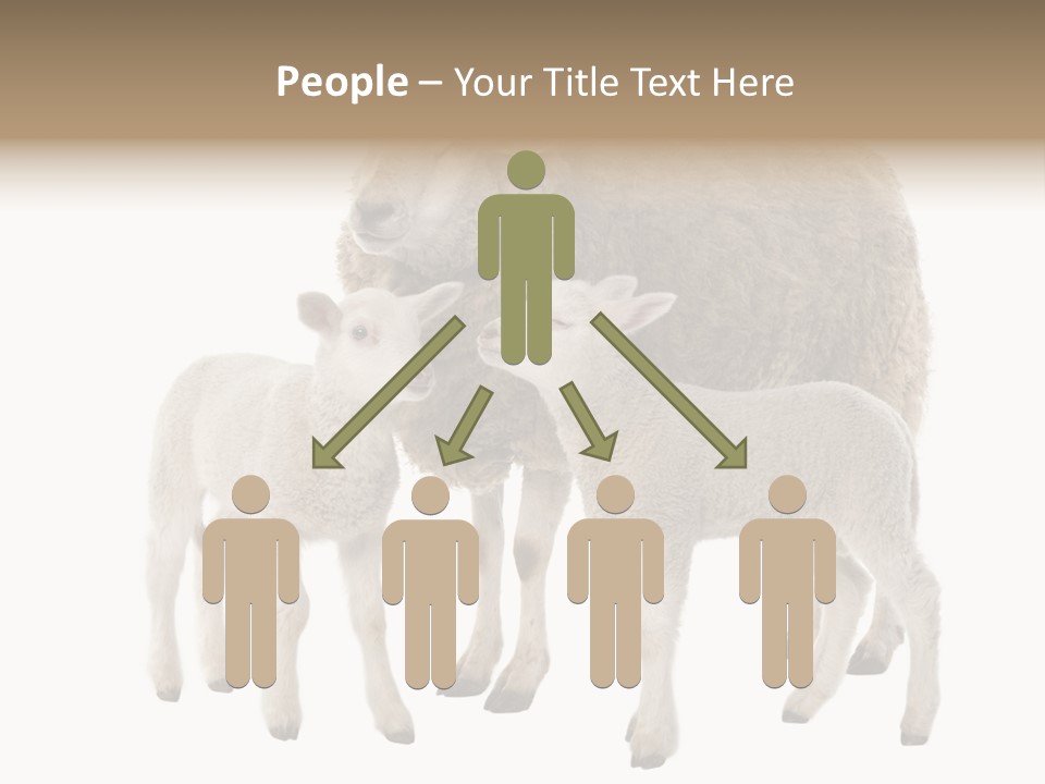 Creature Coat Lamb PowerPoint Template