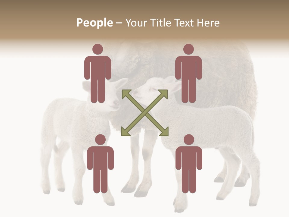 Creature Coat Lamb PowerPoint Template