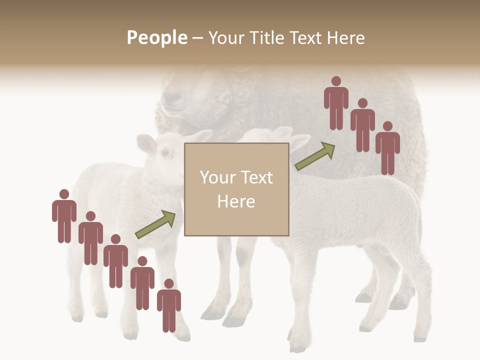 Creature Coat Lamb PowerPoint Template