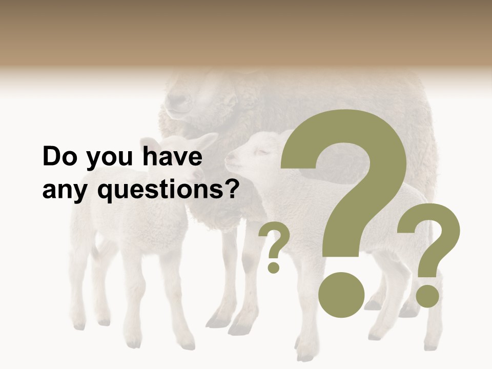 Creature Coat Lamb PowerPoint Template