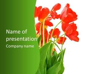 Beautiful Background Flowers PowerPoint Template