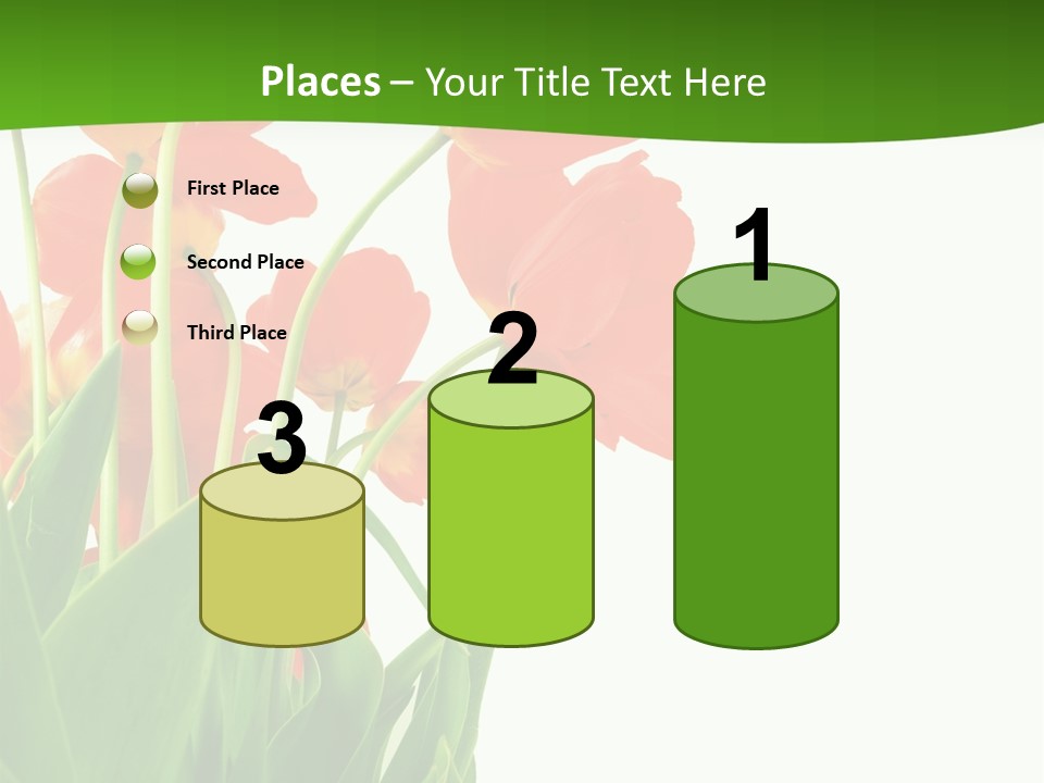 Beautiful Background Flowers PowerPoint Template