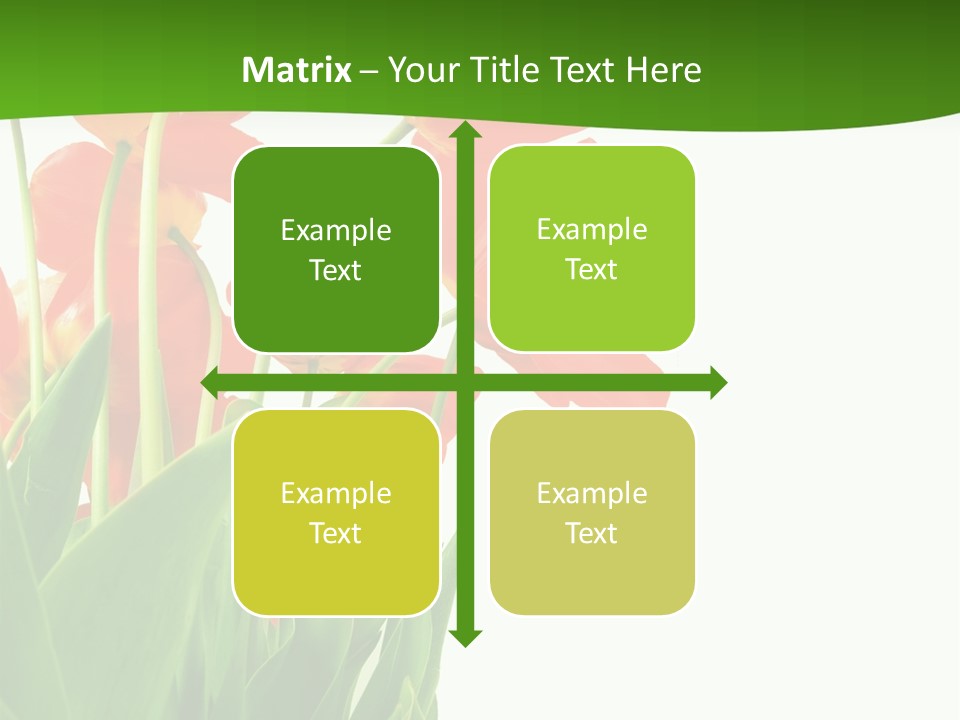 Beautiful Background Flowers PowerPoint Template