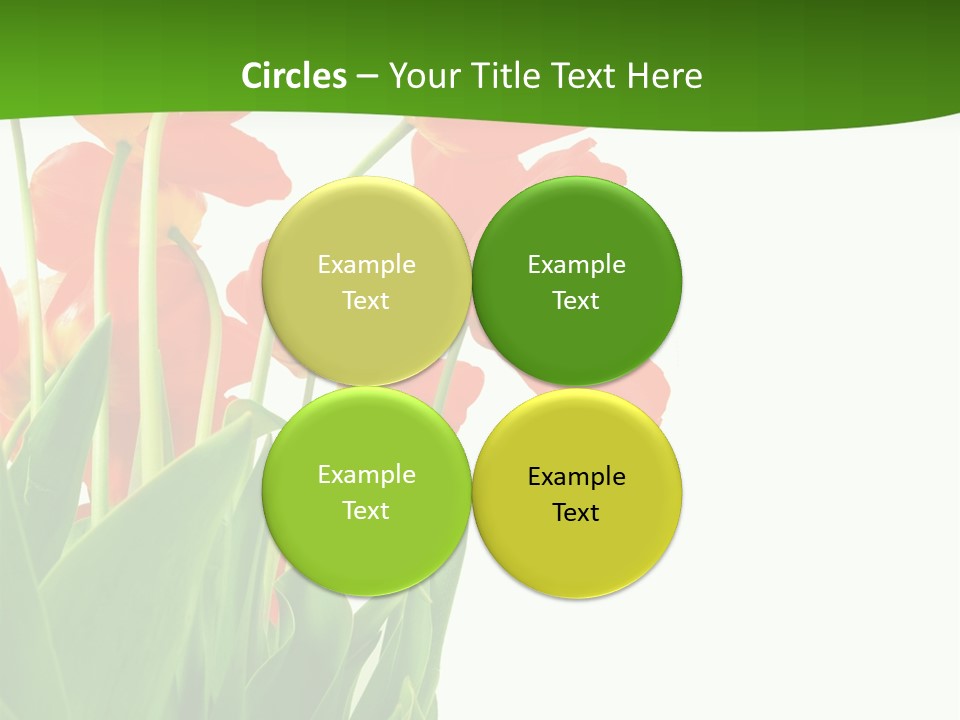 Beautiful Background Flowers PowerPoint Template