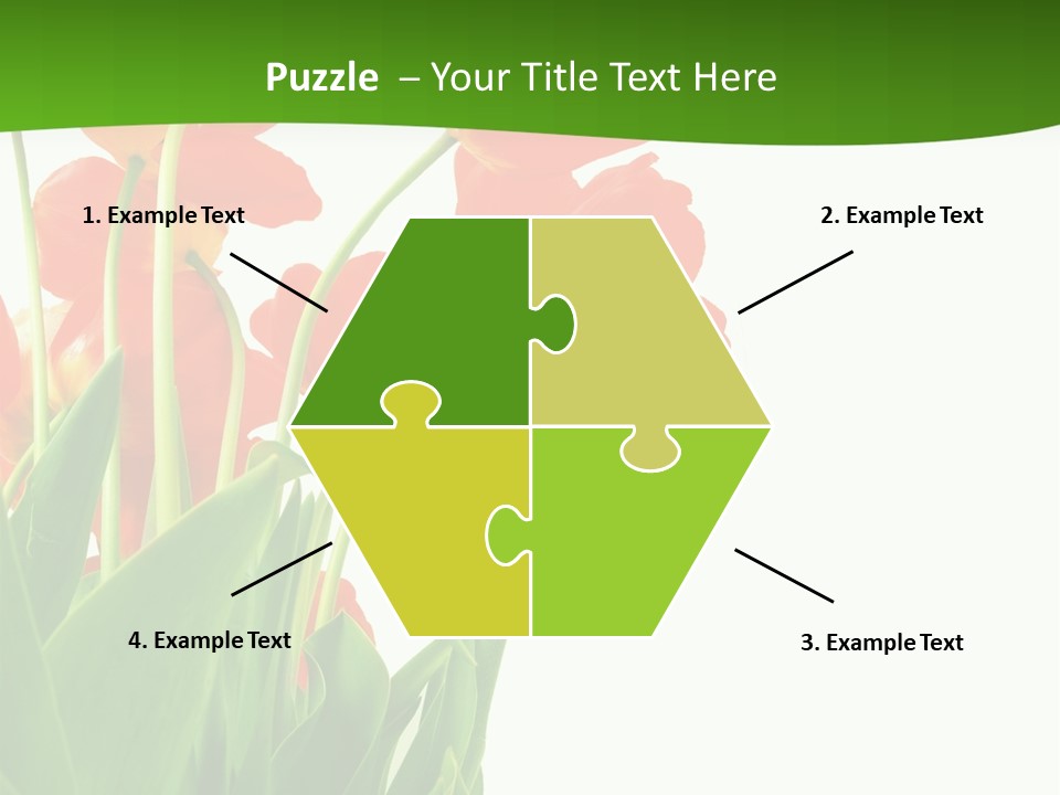 Beautiful Background Flowers PowerPoint Template