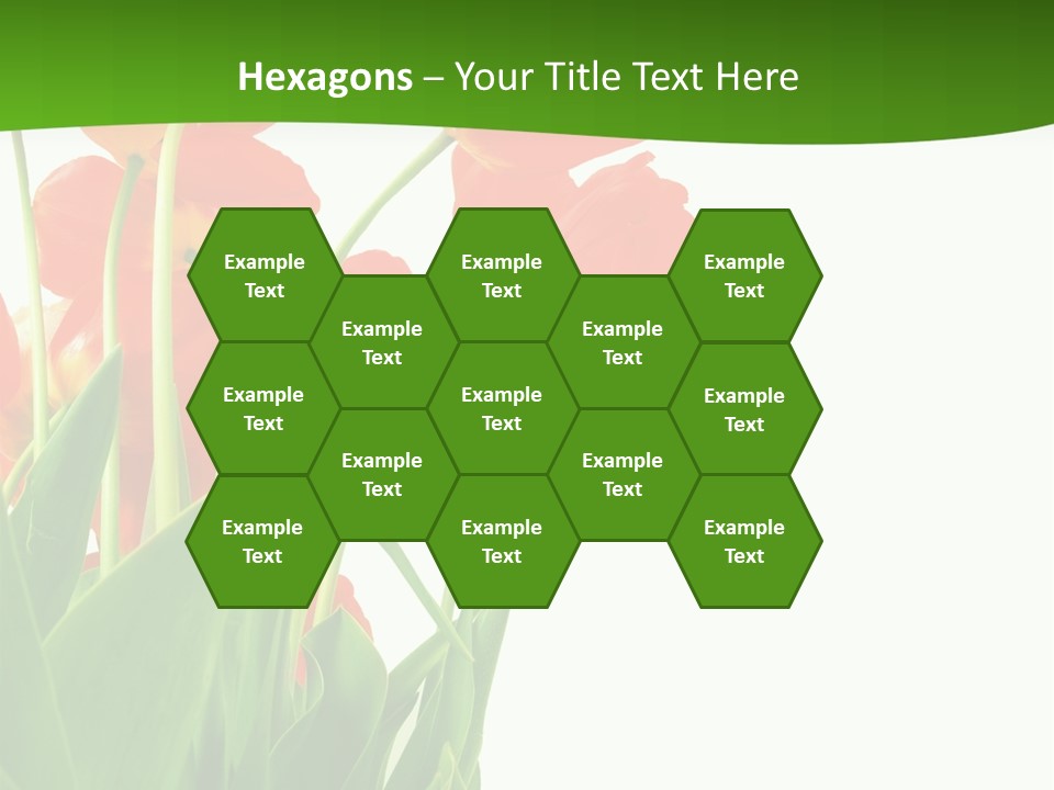 Beautiful Background Flowers PowerPoint Template