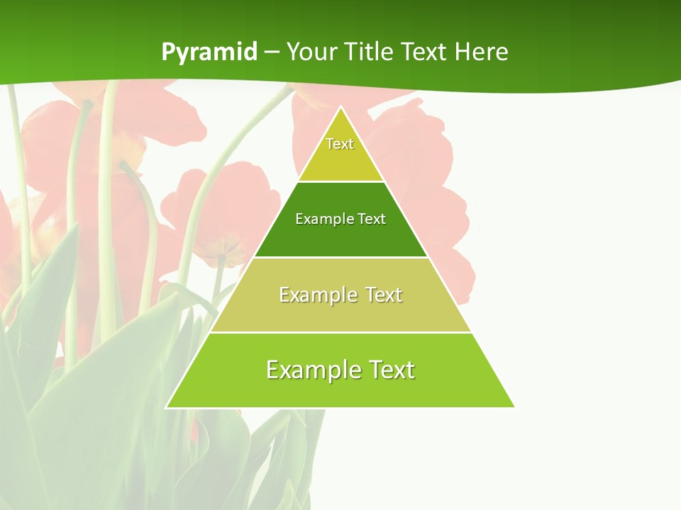 Beautiful Background Flowers PowerPoint Template