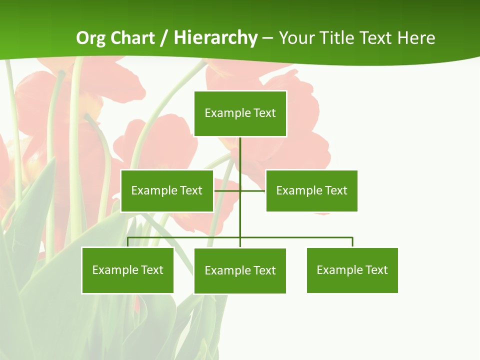 Beautiful Background Flowers PowerPoint Template