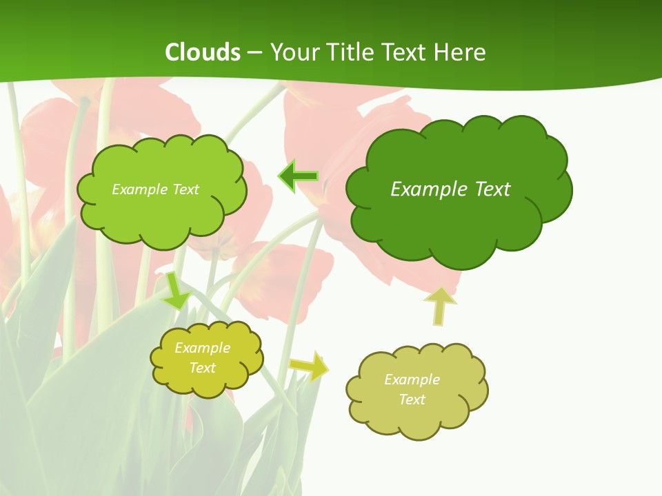 Beautiful Background Flowers PowerPoint Template