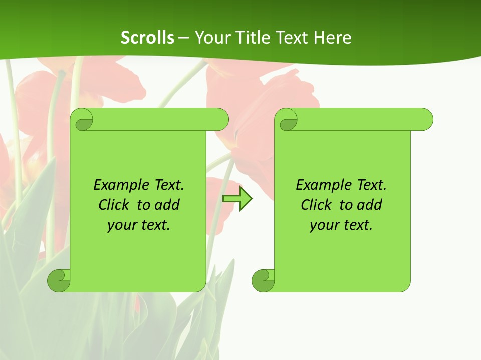 Beautiful Background Flowers PowerPoint Template